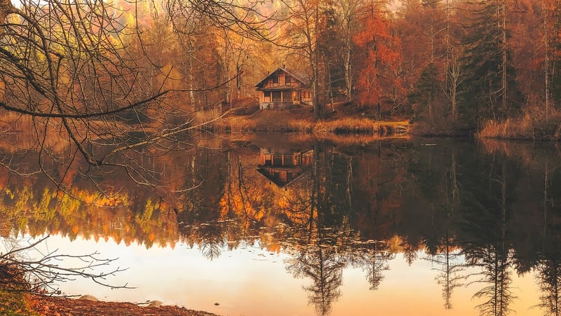 Forest Retreat Lodge & Spa